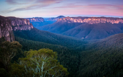 How we are empowering Blue Mountains businesses to increase resilience and wellbeing