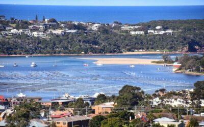 How we are empowering businesses in Southern NSW to build resilience