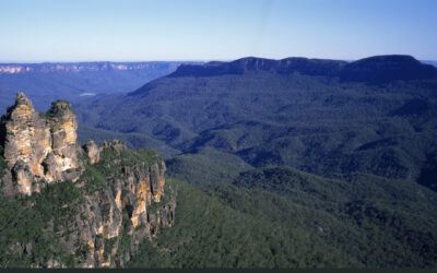 How resilient is the Blue Mountains business community?