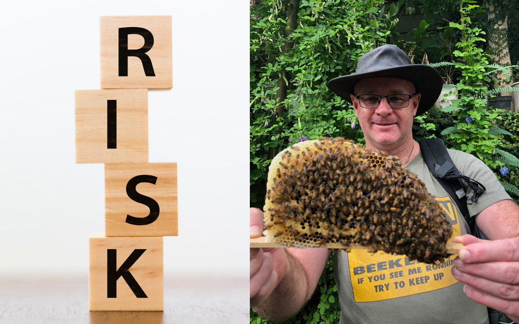 Learn to embrace risk in your business